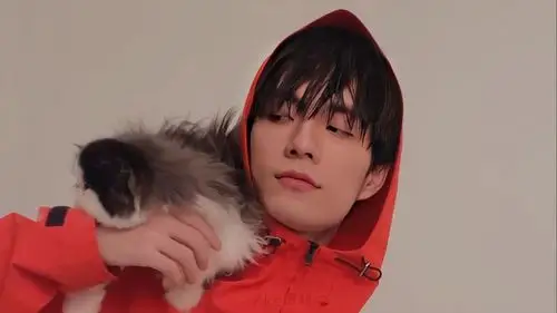 张颜齐/77 - 堆糖,美图壁纸兴趣社区