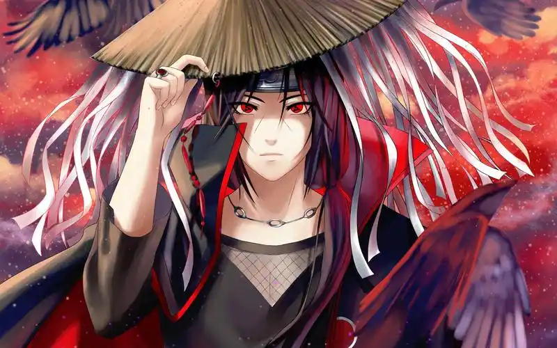 宇宙直播代理招商