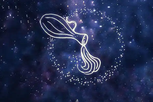 水瓶座2023年运-安测网