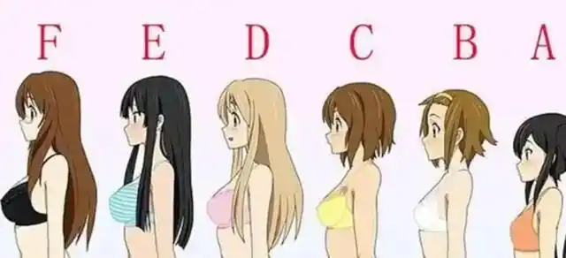 文胸罩杯abc什么区别