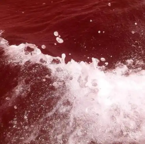 今日份朋友圈背景… - 堆糖,美图壁纸兴趣社区