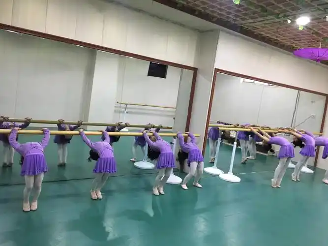 基本功,少儿芭蕾基本动作,要领及舞蹈组.