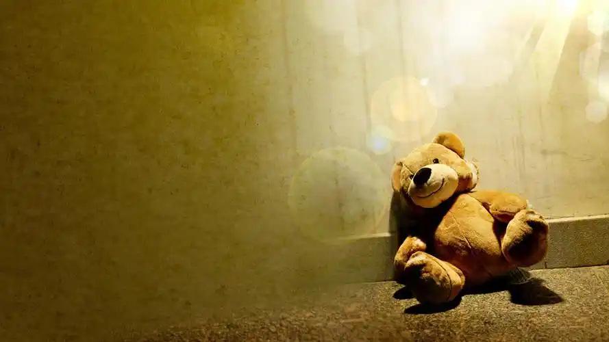 小熊电脑桌面壁纸