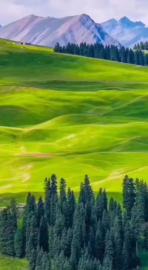 528_960竖版 竖屏