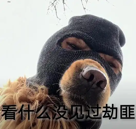 分享这波最近很火的劫匪狗狗的表情包,肯定好用.显得既霸气又可爱.