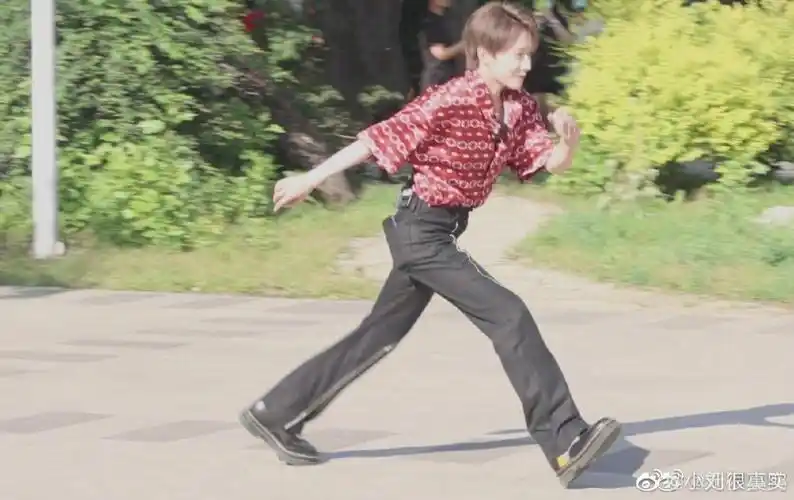 刘雨昕,是向上吧少年冠军(参赛者包括现在内娱大流量大部分人),蜜蜂