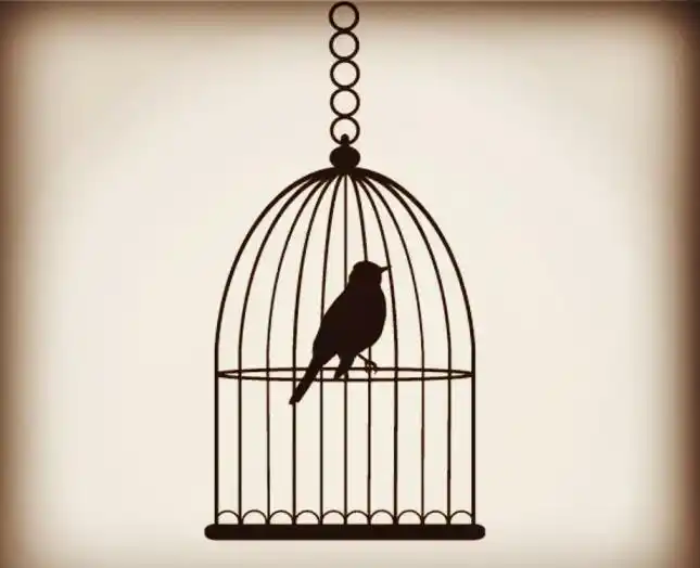 日本人得知后很生气,于是一场被日特机关称为"高级营救"的计划出笼了.