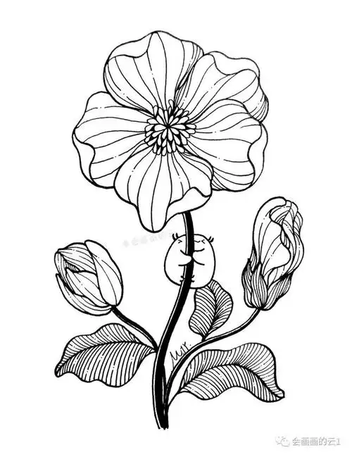 手把手教你用线条如何画一朵花,两支中性笔就可以,简单易学!