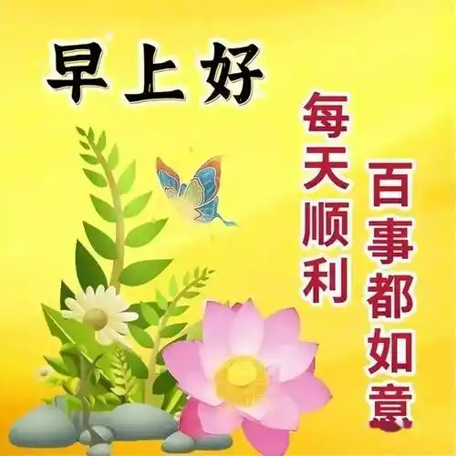 周三早上好,精选最新版周三快乐好看祝福语图片表情大全,愿君周三愉快