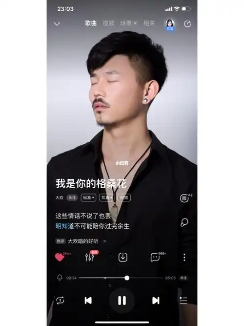 大欢老师的声音真的是太让人着迷了今年最喜欢的一个原创歌手啦~#宝藏