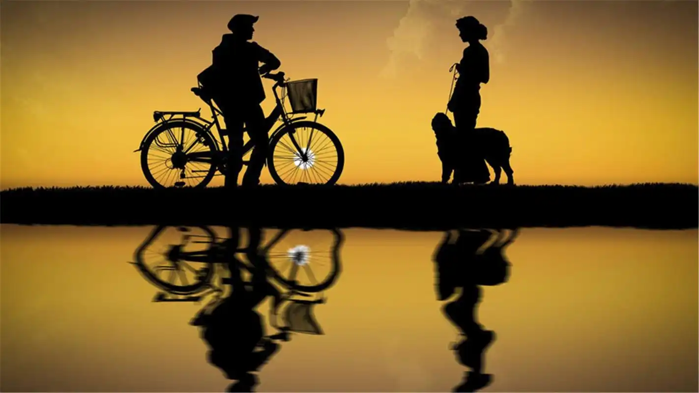 非主流唯美意境lomo风格日出剪影桌面壁纸(1)