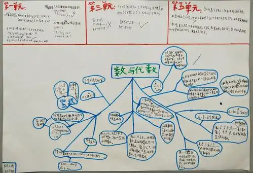 请看咱们班孩子整理《数与代数》的手抄报.