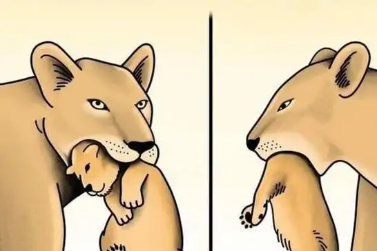 20张让人倍感戳心的漫画引人深思既有喜悦又有悲伤