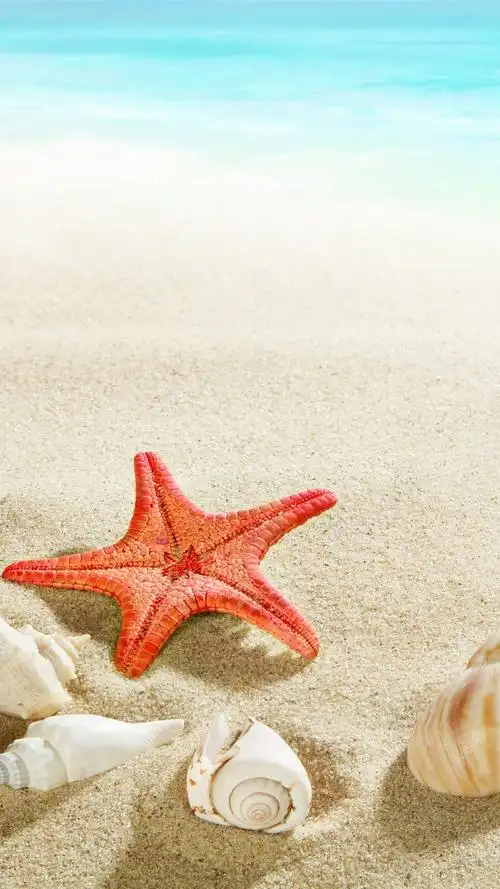 6667/512345(3人评分)所属分类:海滩标签:沙滩贝壳海星大海原图分辨率