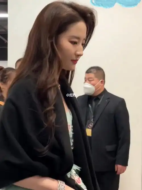 刘亦菲—内场路人视角