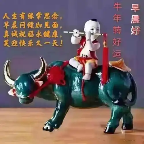 一句句早上好!温暖心间.开心快乐每天!