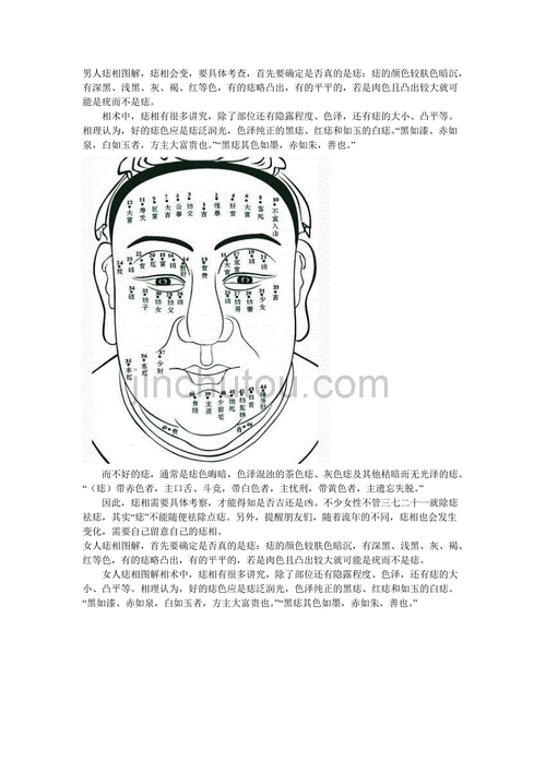 手相痣相大全