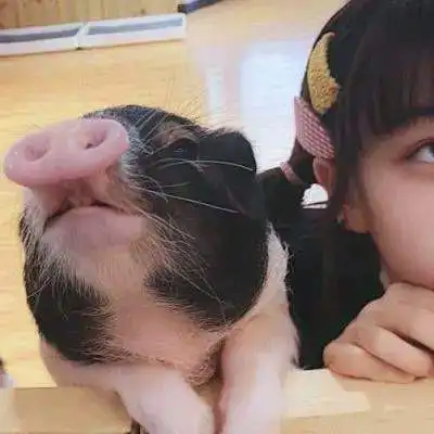 沙雕头像225张 高清好玩又智障又沙雕的头像图片_搞笑头像_头像屋