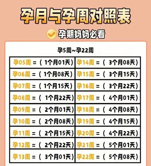 在怀孕期间到医院做b超可以看到自己宝宝的生长发育,胚胎,胚芽都可以