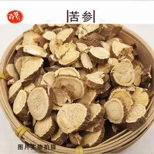 苦参中药图片