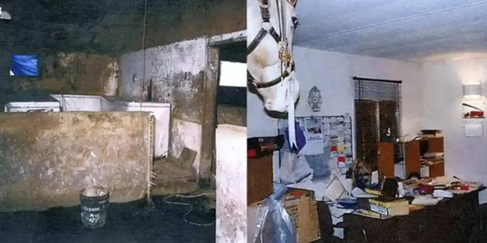 蹲大牢还后悔没有杀够50人!加拿大最变态的连环杀手将获假释资格?