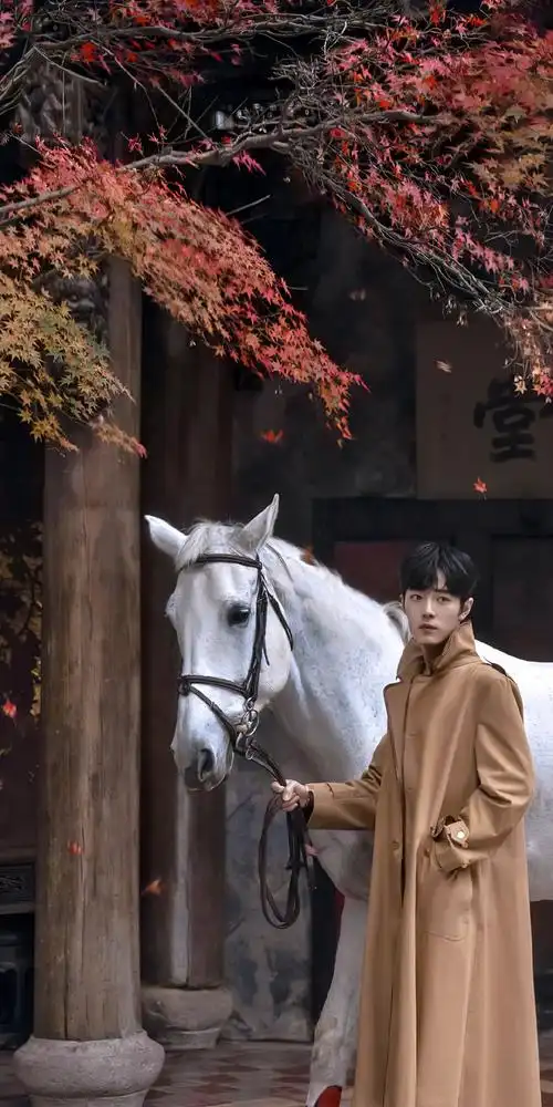 肖战白马王子造型