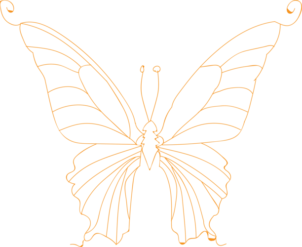 蝴蝶手绘图片大全_蝴蝶手绘图片素材【png免费下载】-90设计网