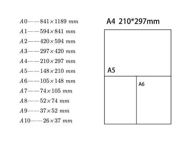 a4纸尺寸是多少厘米(a4纸的尺寸从何而来?