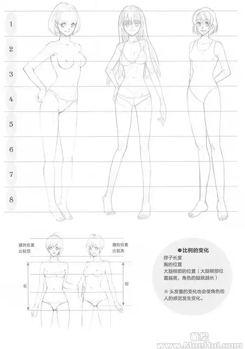 美少女漫画入门03根据头身比进行比例变化