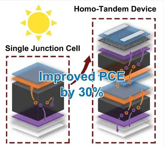 和合作者构建了一种四电极的同质准二维层状钙钛矿叠层太阳能电池结构