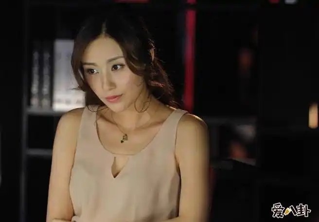 石洋子现任丈夫身份揭秘:与年长11岁的吴启华婚姻破裂原因剖析