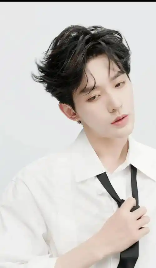 内娱男明星白衬衫大赏,鹿晗矜贵成毅清爽罗云熙清冷陈星旭男菩萨_造型