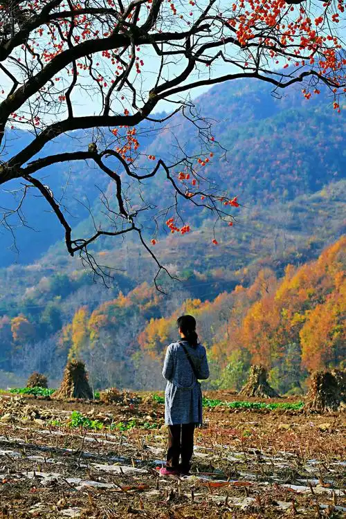 爱人的背影,是一种风景和魅力