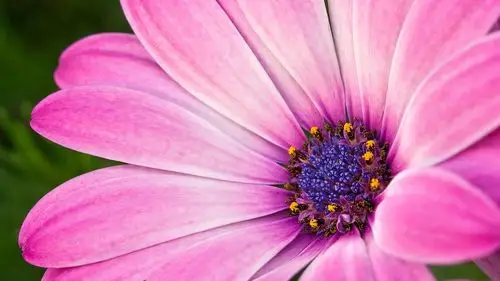 罗小黑-堆糖,美好生活研究所