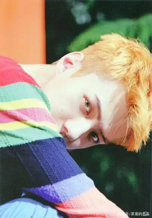 exo吴世勋kokobop图集:可爱的小橘