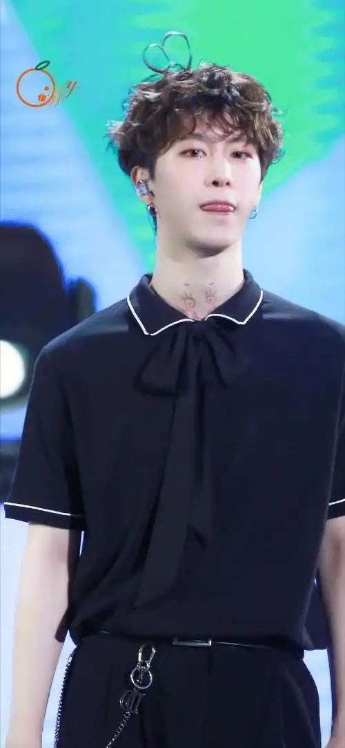 范丞丞奔跑吧卷毛发型