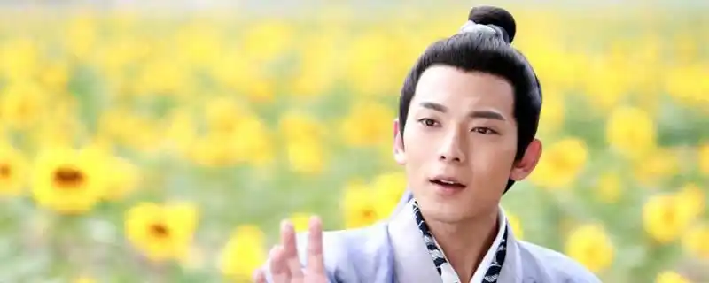 陆展元喜欢李莫愁吗