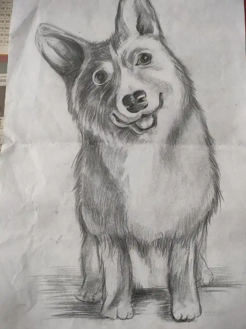 没有对比就没有…七年级孩子美术课作品!#想画就画 - 抖音