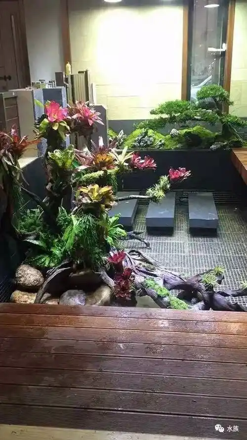 养几盆花 再加上个盆栽造景 这是薛海,薛大分享的室内景观设计!