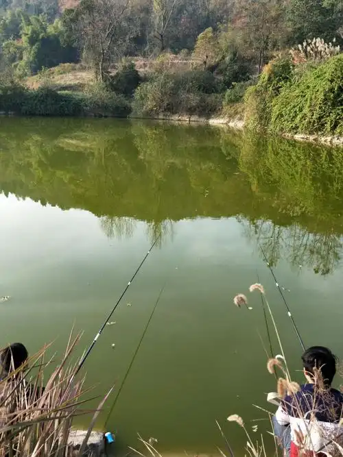 就这样吧 - 美篇