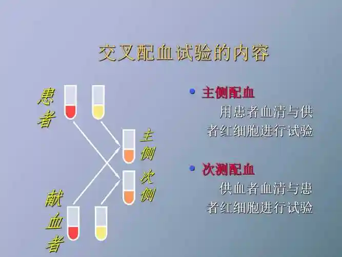 交叉配血试验