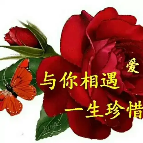 爱的世界只有你