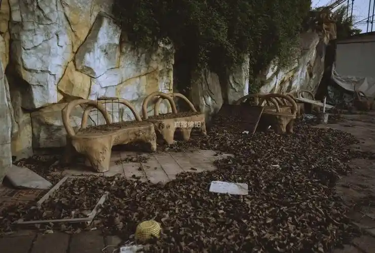 对于当时缺乏大型游乐项目的绵阳来说,欢乐世界的粉墨登场还是引起了