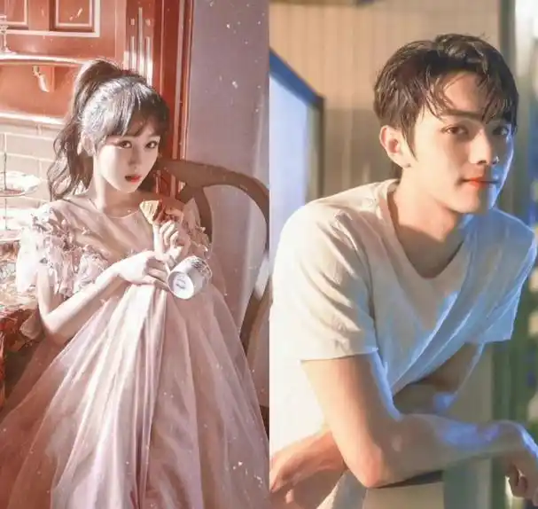 任敏,《利剑玫瑰》,迪丽热,巴金世佳,《玫瑰的故事》,刘亦菲和赵又廷