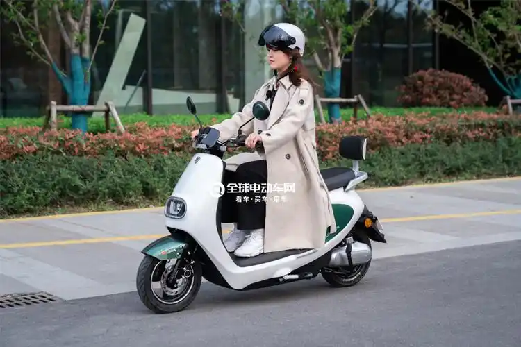 立马电动车m6金牌版图片