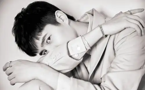 阳光男神刘昊然