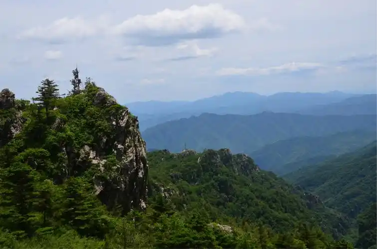 夏日炎炎,去秦岭 终南山 牛背梁森林公园享受清凉,拥抱绿色,拥抱自然