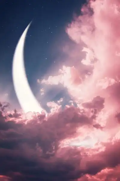 仙女用的背景图