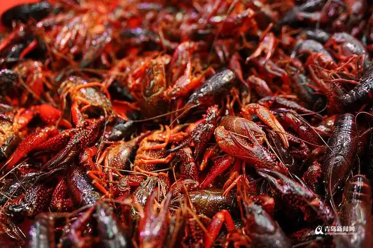 高清:市场上鲜活小龙虾热卖 每斤28元尝鲜喽