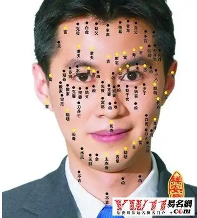 男人看面相大全图解
